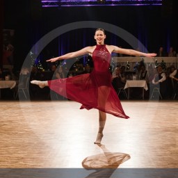 Weihnachtsball – Shows