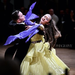 Weihnachtsball 2025 – Shows